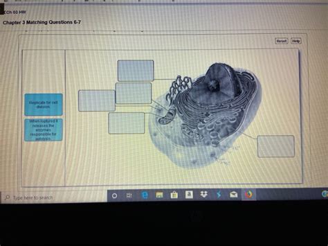 Solved Ch 03 HW Chapter 3 Matching Questions 6 7 Reset Help Chegg