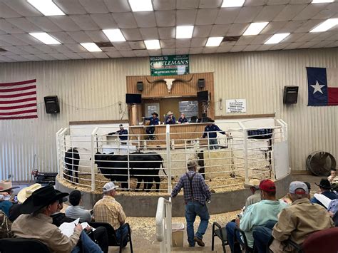 Cattleman's Columbus Livestock Auction | Columbus TX