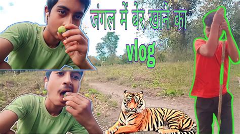 जंगल में बेर खाने का Vlog 😂full Prank Video 😂😜 Masti With Friends Vlogs