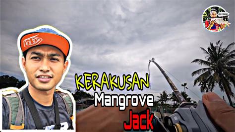 013 Gasak Siakap Merah Mangrove Jack Kolam Juru Sport Fishing