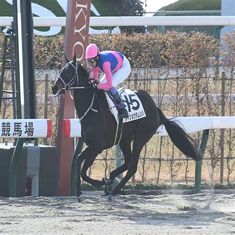 【京都2r新馬戦結果】メイショウタムシバ5馬身差v 武豊騎手は京都通算1400勝達成 2024年1月7日掲載 ライブドアニュース