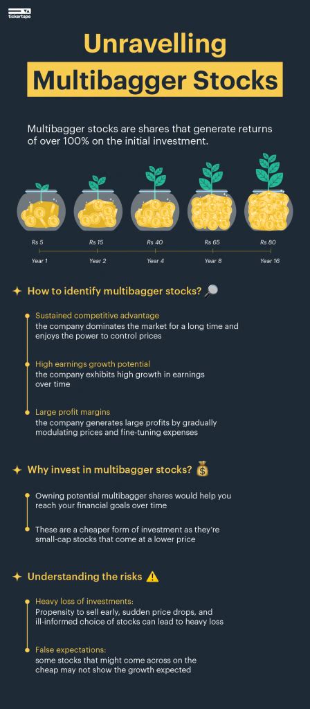 Wondering What Are Multibagger Stocks Here S An Explainer Blog By