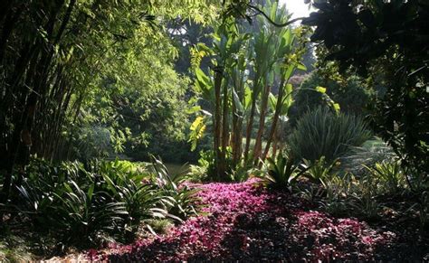 The Huntington Botanical Gardens Will Re-open on July 1st - Petal Republic