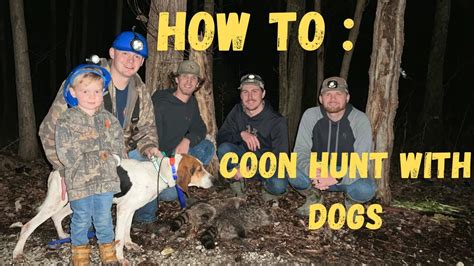 Coon Hunting Coon Hunting With Dogs Tips And Tricks Youtube