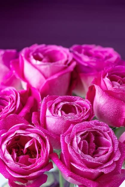 Thư Viện ảnh Background Pink Rose Wallpaper đẹp Và Lãng Mạn Nhất