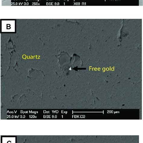 A Porphyritic Biotite Granite Sample B C Photomicrographs Of The Download Scientific