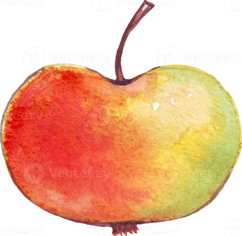 Apple. Watercolor illustration. Hand painted 22787026 PNG