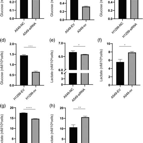 Circrars Promoted Glucose Consumption And Lactate Production A C