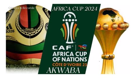 Everything You Need To Know Ahead Of Afcon Businessday Ng