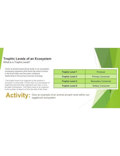 Trophic Level - Examples, PDF | Examples