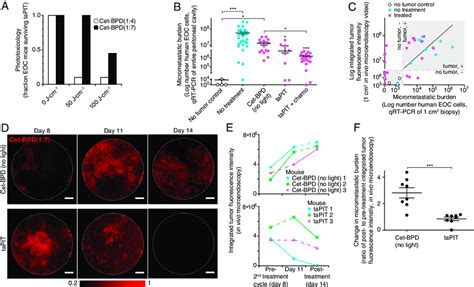 Tapit Toxicology Efficacy And Longitudinal Monitoring Of Download Scientific Diagram