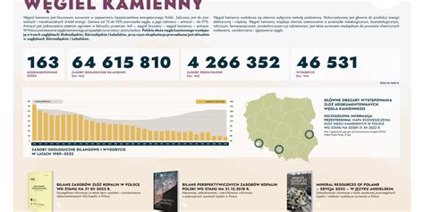 Złoża i wydobycie ropy naftowej w Polsce DANE i MAPA Portal