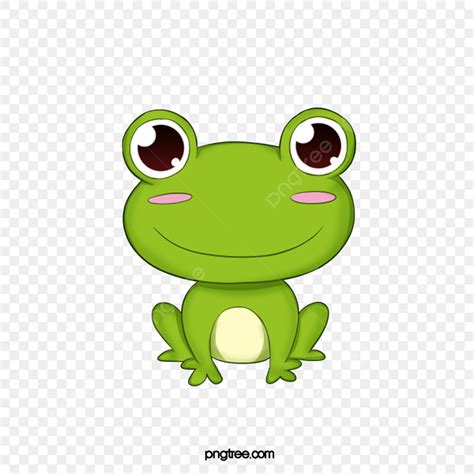 Green Frog White Transparent Cute Green Cartoon Frog Frog Clipart