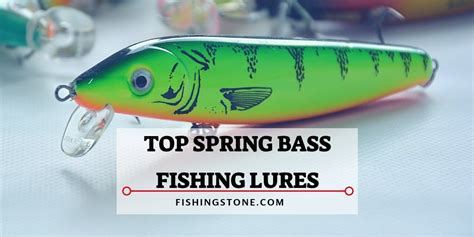 Best Spring Bass Fishing Lures To Catch Bass Fishingstone