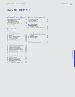 Fillable Online Consolidated Financial Statements Pdf Fax Email Print