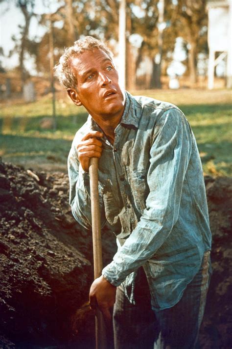 Paul Newman Daughters