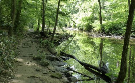 Visiting Crum Woods Crum Woods Stewardship Swarthmore College