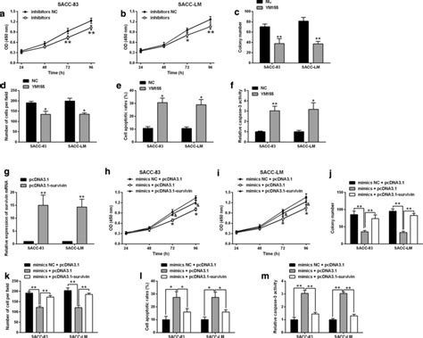 Mir 140 5p Regulated Sacc 83 And Sacc Lm Cancer Cell Progression Via Download Scientific