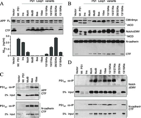 Secretase Processing Of Different Substrates By Ps Ll Mutants A