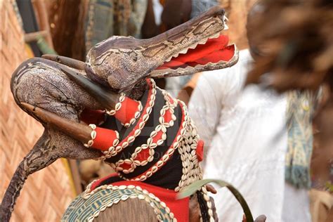 Nyang Nyang Dance Festival In Cameroon Anadolu Ajans