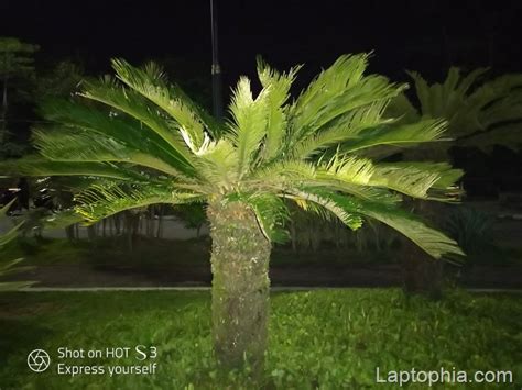 Review Infinix Hot S X Smartphone Selfie Killer Dengan Os Android Oreo Laptophia