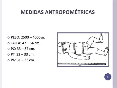 Medidas Antropom Tricas Rn Valores Braincp