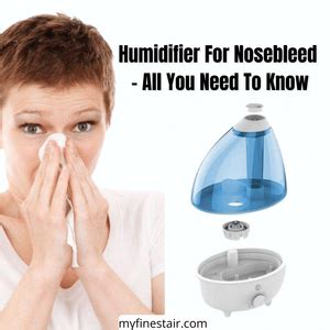 Humidifier For Nosebleed All You Need To Know