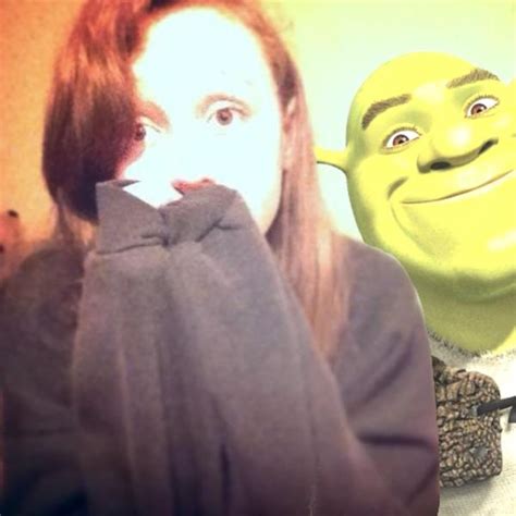 Shrek Profile Picture 1 Shrek Know Your Meme