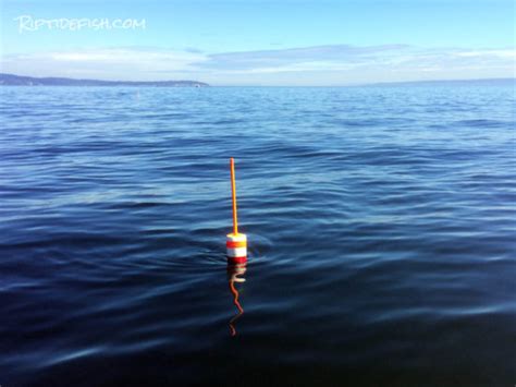 Rigging And Setup For Dungeness Crab