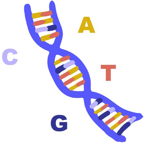 Dna Innovative Genomics Institute Igi