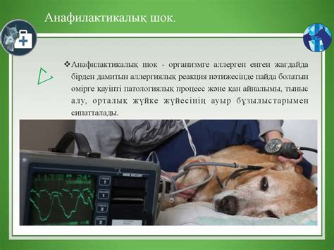 Шок және коллапс - презентация онлайн