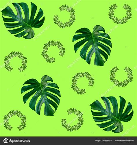 Green Palm Leaves Pattern Nature Concept Tropical Leaf Green Background