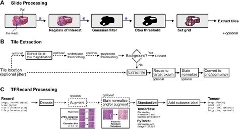 Figure 1 From Slideflow Deep Learning For Digital Histopathology With