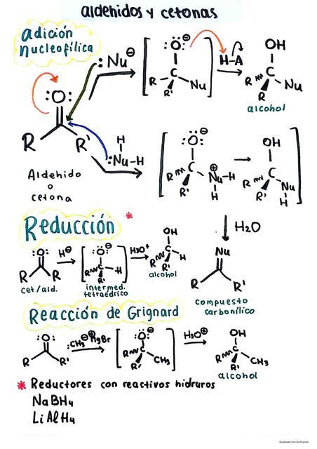 Reactividad aldehídos y cetonas Online Aria uDocz