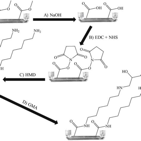 Scheme Sequential Chemical Modification Of The Inner Surface Of Download Scientific Diagram