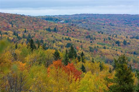 DNR Suggests These Scenic Drives For Fall Colors in Northern MN