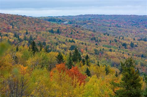 DNR Suggests These Scenic Drives For Fall Colors in Northern MN