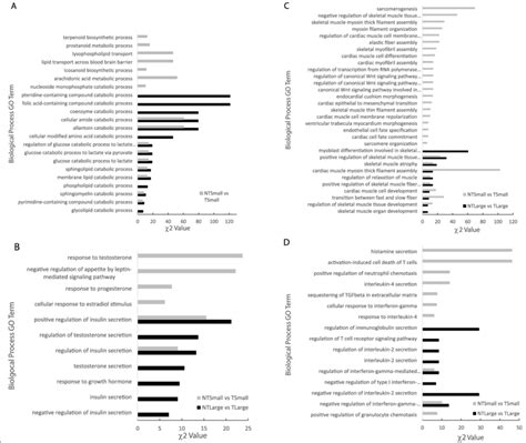 Gene Ontology GO Biological Process Categories For The Differentially