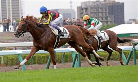 【札幌2歳ステークス2023】予想と一週前追い切り・調教評価 未勝利マニアの競馬予想