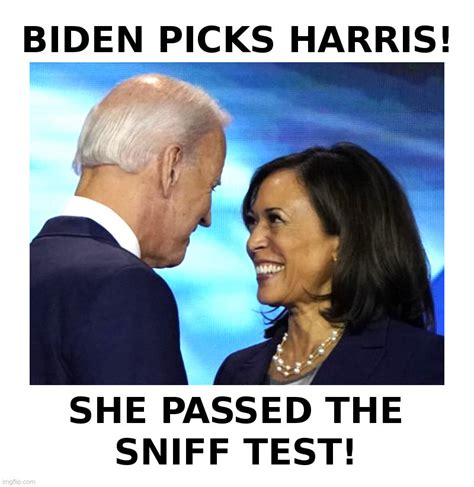 Biden Picks Harris Imgflip