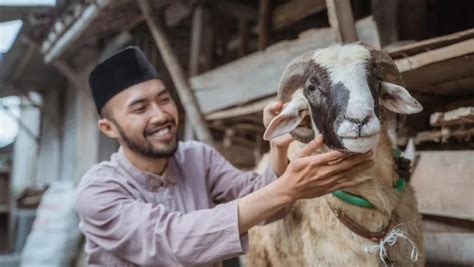 Tiga Tips Memilih Hewan Kurban Umat Muslim Wajib Tau