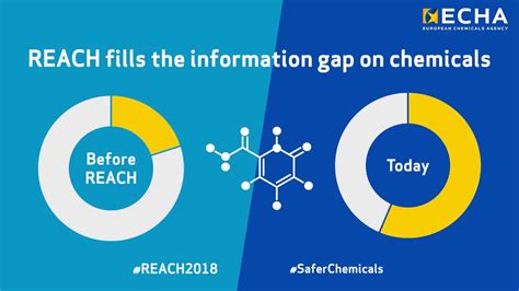 Journey To Safer Chemicals REACH Registration YouTube