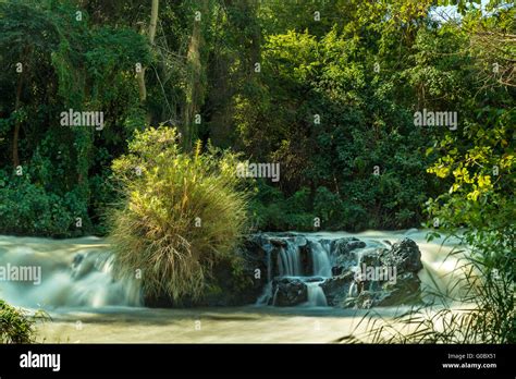 Awash River Stock Photo - Alamy