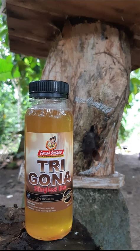 SILAKNIKI TPID Kabupaten Lombok Barat Madu Trigona 500 Ml