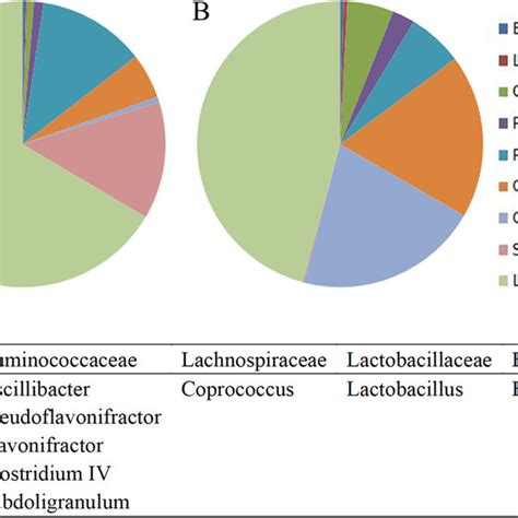 Gut Microbiota Composition Taxonomy Summary And Microbial Diversity Of