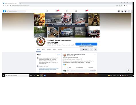 Specimen for Eastern Shore Undercover