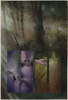 Art Of Dave Mckean Ideas Dave Mckean Mckean Black Orchid