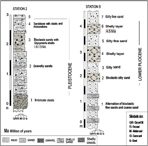 Representative Stratigraphic Sections Of Pre Holocene Shelly Deposits