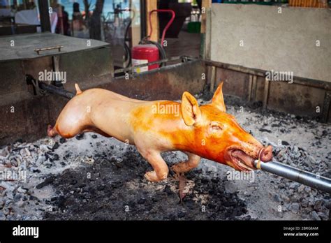 Suckling Pig Bbq Roasted On A Spit Is A Popular Food In Philippines