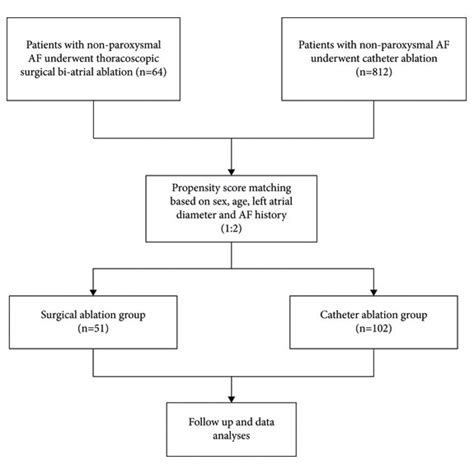 Study Flow Diagram Depicting The Participant Enrollment Af Atrial